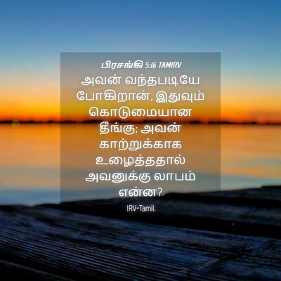 Picture 04 - பிரசங்கி 5:16 TAMIRV - அவன் வந்தபடியே - Bible Verse Picture
