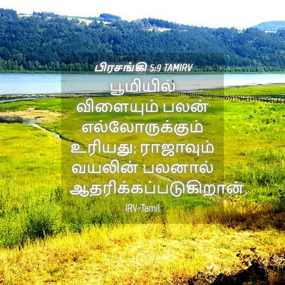 Picture 04 - பிரசங்கி 5:9 TAMIRV - பூமியில் விளையும் - Bible Verse Picture