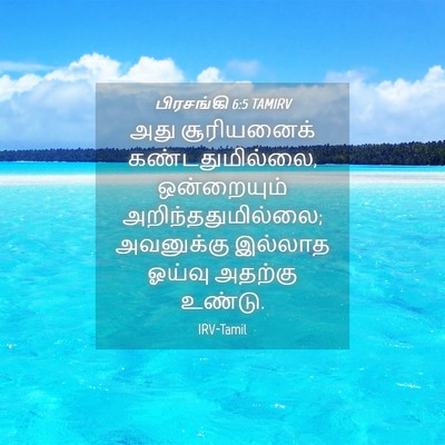 Picture 04 - பிரசங்கி 6:5 TAMIRV - அது சூரியனைக் - Bible Verse Picture