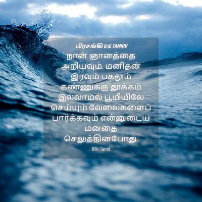 Picture 04 - பிரசங்கி 8:16 TAMIRV - நான் ஞானத்தை - Bible Verse Picture