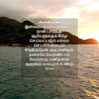 Picture 04 - பிரசங்கி 8:9 TAMIRV -  - Bible Verse Picture