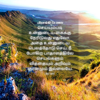 Picture 04 - பிரசங்கி 9:10 TAMIRV - செய்யும்படி - Bible Verse Picture