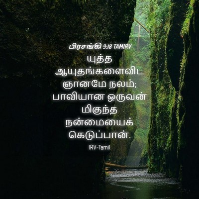 Picture 04 - பிரசங்கி 9:18 TAMIRV - யுத்த - Bible Verse Picture