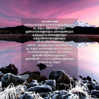 Picture 04 - பிரசங்கி 9:2 TAMIRV - எல்லோருக்கும் - Bible Verse Picture