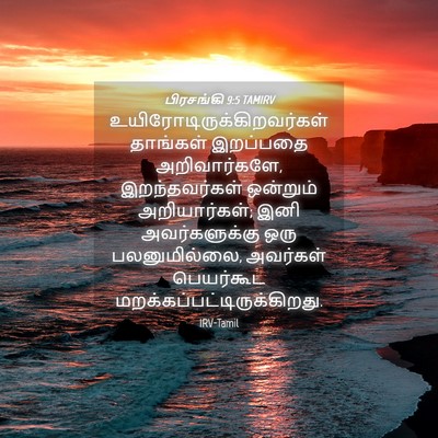 Picture 04 - பிரசங்கி 9:5 TAMIRV -  - Bible Verse Picture