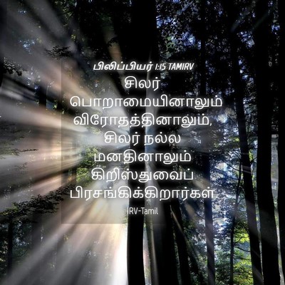 Picture 04 - பிலிப்பியர் 1:15 TAMIRV - சிலர் - Bible Verse Picture