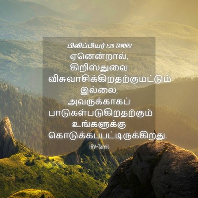 Picture 04 - பிலிப்பியர் 1:29 TAMIRV - ஏனென்றால், - Bible Verse Picture