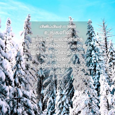 Picture 04 - பிலிப்பியர் 1:5 TAMIRV - உங்களில் - Bible Verse Picture
