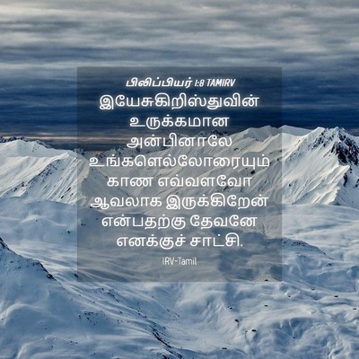 Picture 04 - பிலிப்பியர் 1:8 TAMIRV -  - Bible Verse Picture