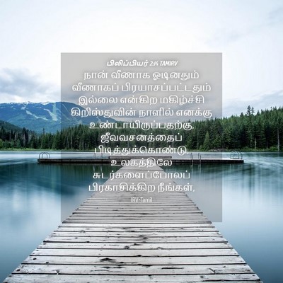 Picture 04 - பிலிப்பியர் 2:14 TAMIRV - நான் வீணாக - Bible Verse Picture