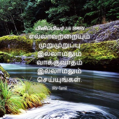 Picture 04 - பிலிப்பியர் 2:16 TAMIRV - எல்லாவற்றையும் - Bible Verse Picture