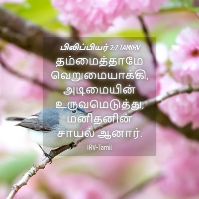 Picture 04 - பிலிப்பியர் 2:7 TAMIRV - தம்மைத்தாமே - Bible Verse Picture