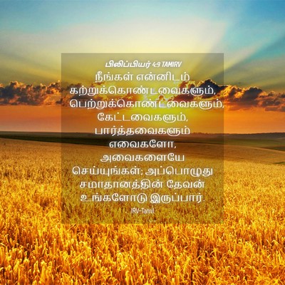 Picture 04 - பிலிப்பியர் 4:9 TAMIRV - நீங்கள் என்னிடம் - Bible Verse Picture