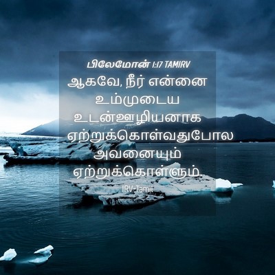 Picture 04 - பிலேமோன் 1:17 TAMIRV - ஆகவே, நீர் என்னை - Bible Verse Picture
