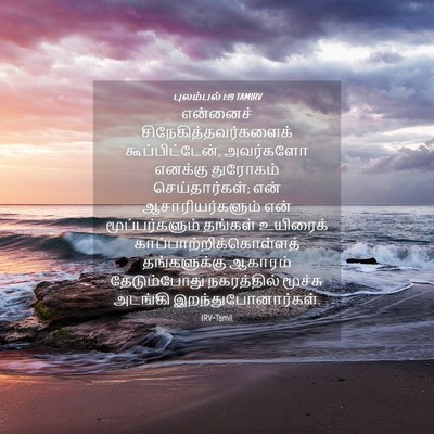Picture 04 - புலம்பல் 1:19 TAMIRV - என்னைச் - Bible Verse Picture