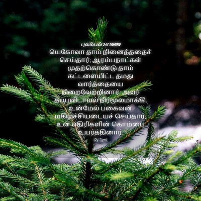 Picture 04 - புலம்பல் 2:17 TAMIRV - யெகோவா தாம் - Bible Verse Picture