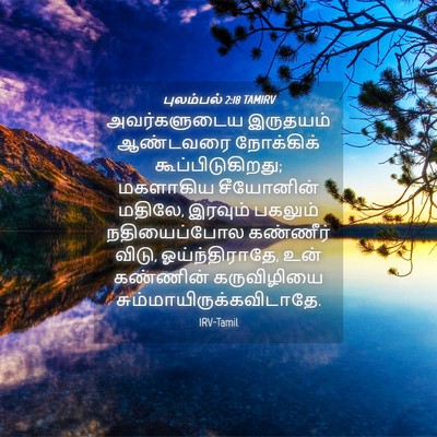 Picture 04 - புலம்பல் 2:18 TAMIRV - அவர்களுடைய - Bible Verse Picture