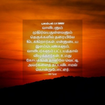 Picture 04 - புலம்பல் 2:21 TAMIRV - வாலிபனும் - Bible Verse Picture
