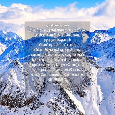 Picture 04 - புலம்பல் 2:3 TAMIRV - அவர் தமது - Bible Verse Picture