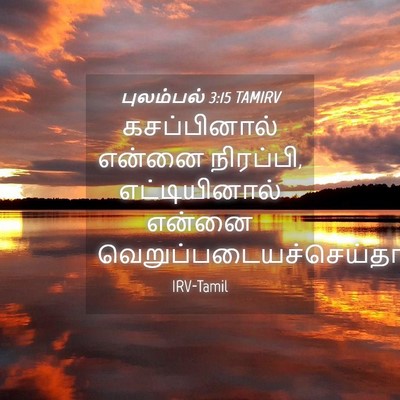 Picture 04 - புலம்பல் 3:15 TAMIRV - கசப்பினால் என்னை - Bible Verse Picture