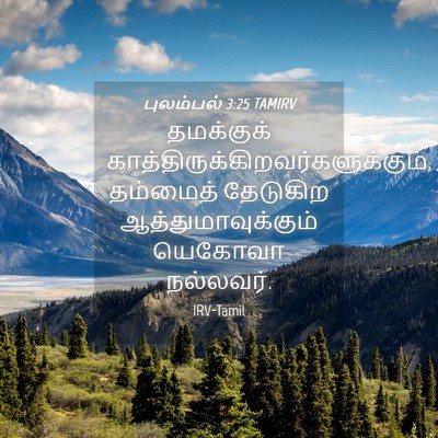 Picture 04 - புலம்பல் 3:25 TAMIRV - தமக்குக் - Bible Verse Picture