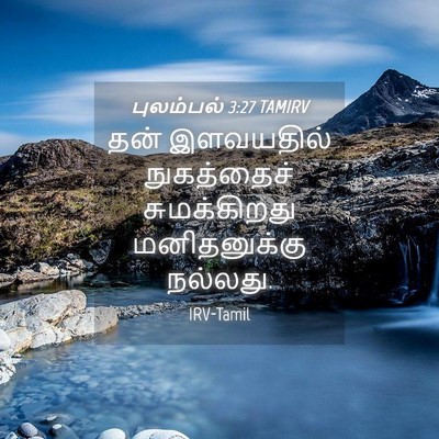 Picture 04 - புலம்பல் 3:27 TAMIRV - தன் இளவயதில் - Bible Verse Picture