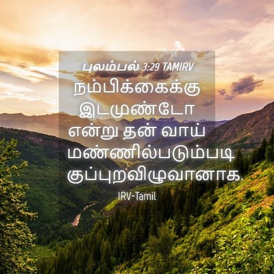 Picture 04 - புலம்பல் 3:29 TAMIRV - நம்பிக்கைக்கு - Bible Verse Picture