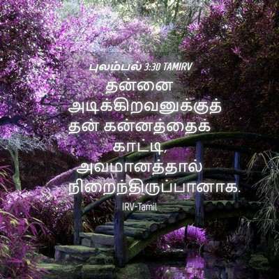 Picture 04 - புலம்பல் 3:30 TAMIRV - தன்னை - Bible Verse Picture