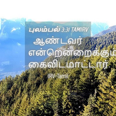 Picture 04 - புலம்பல் 3:31 TAMIRV - ஆண்டவர் - Bible Verse Picture
