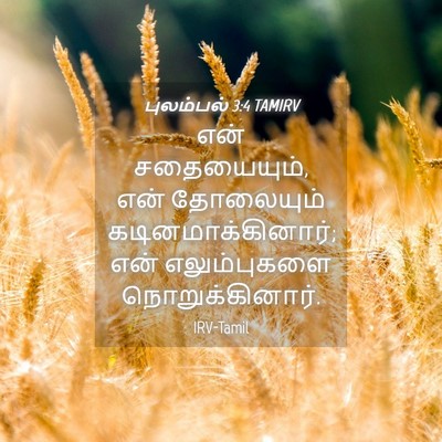 Picture 04 - புலம்பல் 3:4 TAMIRV - என் சதையையும், என் - Bible Verse Picture
