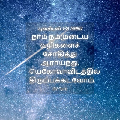Picture 04 - புலம்பல் 3:40 TAMIRV - நாம் நம்முடைய - Bible Verse Picture