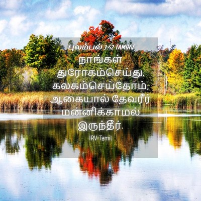Picture 04 - புலம்பல் 3:42 TAMIRV - நாங்கள் - Bible Verse Picture