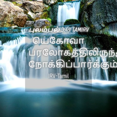 Picture 04 - புலம்பல் 3:49 TAMIRV - யெகோவா - Bible Verse Picture