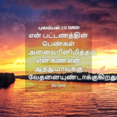 Picture 04 - புலம்பல் 3:51 TAMIRV - என் பட்டணத்தின் - Bible Verse Picture