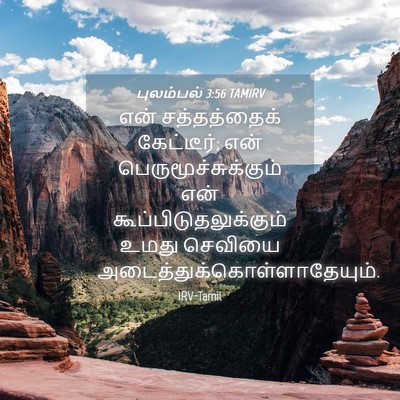 Picture 04 - புலம்பல் 3:56 TAMIRV - என் சத்தத்தைக் - Bible Verse Picture