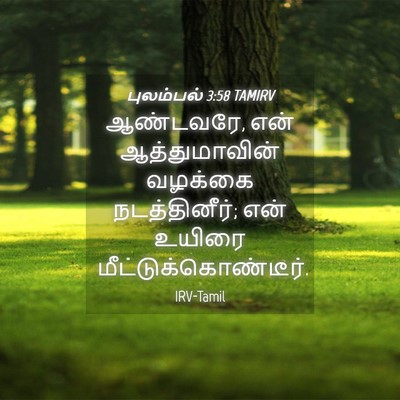 Picture 04 - புலம்பல் 3:58 TAMIRV - ஆண்டவரே, என் - Bible Verse Picture