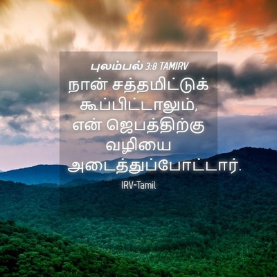 Picture 04 - புலம்பல் 3:8 TAMIRV - நான் சத்தமிட்டுக் - Bible Verse Picture