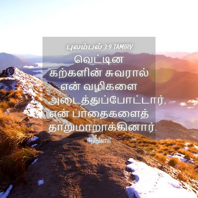 Picture 04 - புலம்பல் 3:9 TAMIRV - வெட்டின கற்களின் - Bible Verse Picture