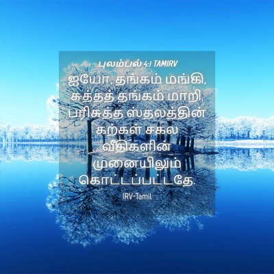 Picture 04 - புலம்பல் 4:1 TAMIRV - ஐயோ, தங்கம் மங்கி, - Bible Verse Picture