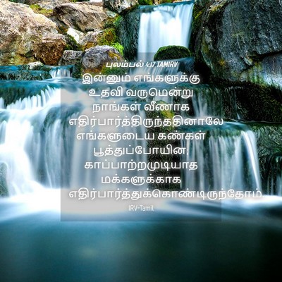 Picture 04 - புலம்பல் 4:17 TAMIRV - இன்னும் - Bible Verse Picture