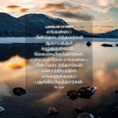 Picture 04 - புலம்பல் 4:19 TAMIRV - எங்களைப் - Bible Verse Picture
