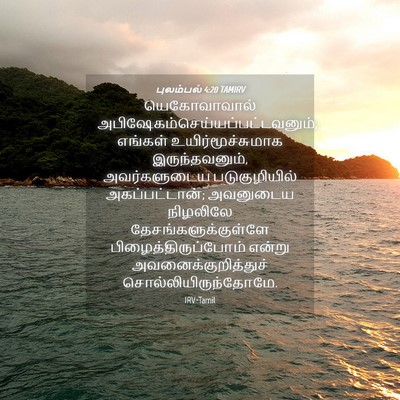 Picture 04 - புலம்பல் 4:20 TAMIRV - யெகோவாவால் - Bible Verse Picture
