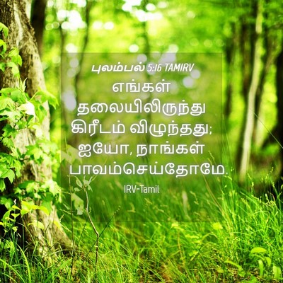 Picture 04 - புலம்பல் 5:16 TAMIRV - எங்கள் - Bible Verse Picture
