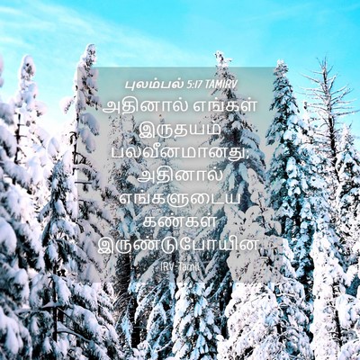 Picture 04 - புலம்பல் 5:17 TAMIRV - அதினால் எங்கள் - Bible Verse Picture