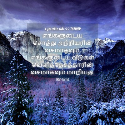 Picture 04 - புலம்பல் 5:2 TAMIRV - எங்களுடைய சொத்து - Bible Verse Picture
