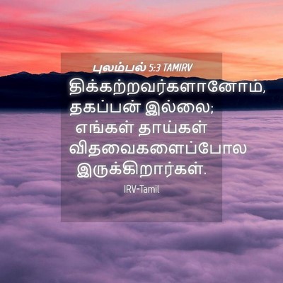 Picture 04 - புலம்பல் 5:3 TAMIRV -  - Bible Verse Picture