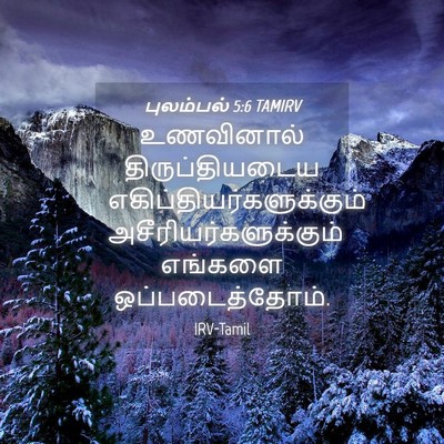 Picture 04 - புலம்பல் 5:6 TAMIRV - உணவினால் - Bible Verse Picture