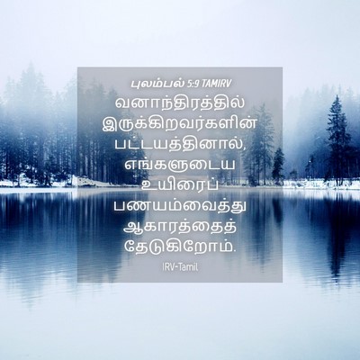 Picture 04 - புலம்பல் 5:9 TAMIRV - வனாந்திரத்தில் - Bible Verse Picture