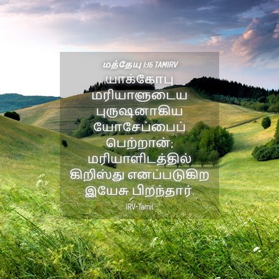 Picture 04 - மத்தேயு 1:16 TAMIRV - யாக்கோபு - Bible Verse Picture