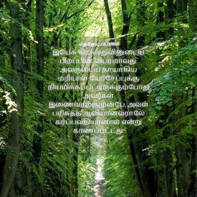 Picture 04 - மத்தேயு 1:18 TAMIRV - இயேசு - Bible Verse Picture
